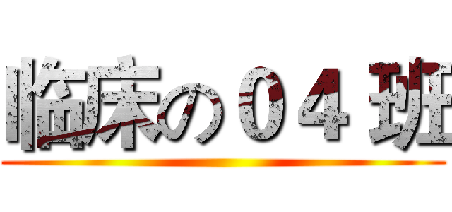 临床の０４ 班 ()