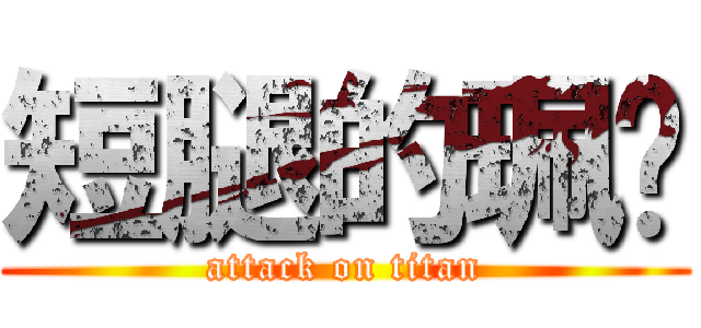 短腿的珮瑄 (attack on titan)