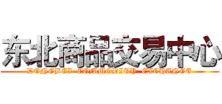 东北商品交易中心 (DONGBEI  COMMODITY  EXCHANGE)