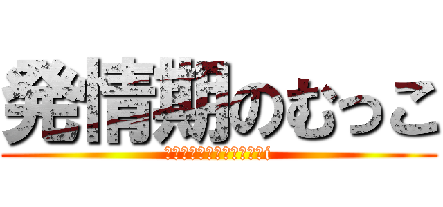 発情期のむっこ (Ｈｅｎｔａｉ　Ｓｉｎｓｈi)
