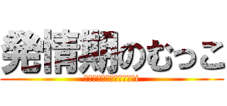 発情期のむっこ (Ｈｅｎｔａｉ　Ｓｉｎｓｈi)