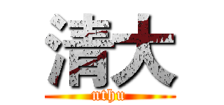 清大 (nthu)