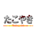 たこやき (Takoyaki)