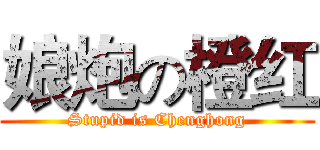 娘炮の橙红 (Stupid is Chenghong)
