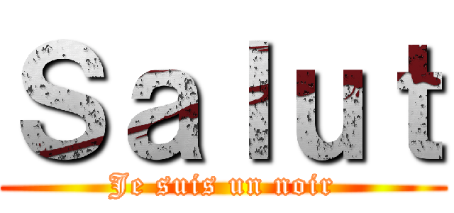 Ｓａｌｕｔ (Je suis un noir)