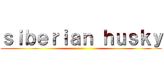 ｓｉｂｅｒｉａｎ ｈｕｓｋｙ ()