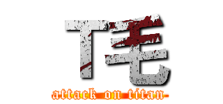 Ｔ毛 (attack on titan)