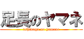 足長のヤマネ (ashinaga no yamane)