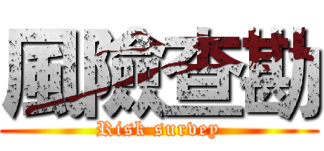 風險查勘 (Risk survey)