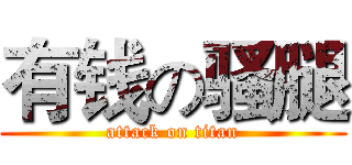 有钱の骚腿 (attack on titan)