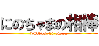 にのちゃまの相棒 (Buddies Ninomiya)
