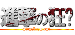 進撃の狂貓 (attack on cat)