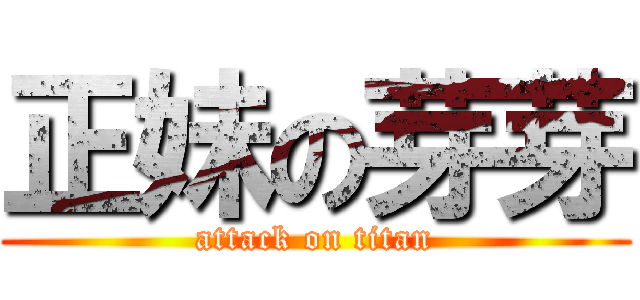 正妹の芽芽 (attack on titan)