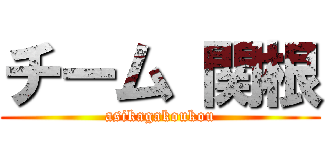 チーム 関根 (asikagakoukou)