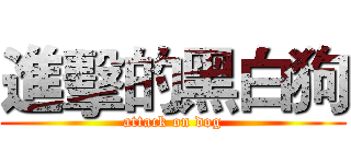 進擊的黑白狗 (attack on dog)