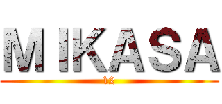 ＭＩＫＡＳＡ (12)