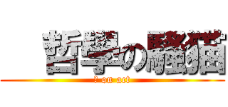   哲學の騷猫 (♂ on act)