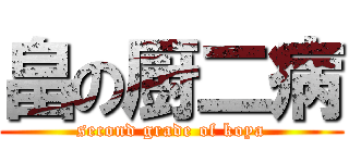 畠の厨二病 (second grade of koya)