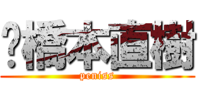 橋本直樹 (peniss)