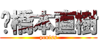 橋本直樹 (peniss)