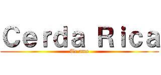 Ｃｅｒｄａ Ｒｉｃａ (Te amo)