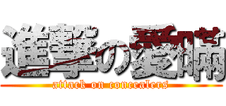 進撃の愛暪 (attack on concealers)