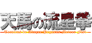 天馬の流星拳 (Tecnicas de Ataque Pegasus Meteor Fist)