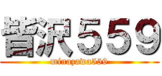 皆沢５５９ (minazawa559)