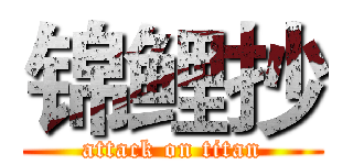 锦鲤抄 (attack on titan)
