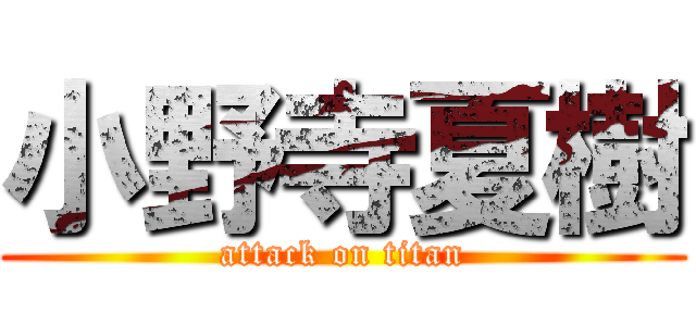 小野寺夏樹 (attack on titan)