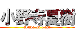 小野寺夏樹 (attack on titan)