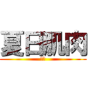 夏日肌肉 (新創)