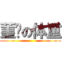 菫擊の体重 ()
