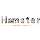 Ｈａｍｓｔｅｒ ()