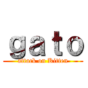 ｇａｔｏ (attack on Kitten)