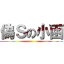 偽Ｓの小函 ()