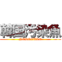 韓国汚染魚 (NODOGURO)