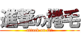 進撃の捲毛 (attack on Q毛)