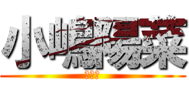 小嶋陽菜 (神推し)