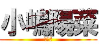 小嶋陽菜 (神推し)