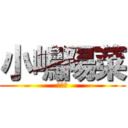 小嶋陽菜 (神推し)