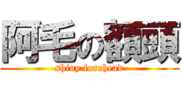阿毛の額頭 (shiny forehead)