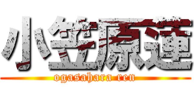 小笠原蓮 (ogasahara ren)