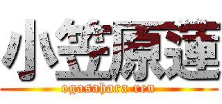 小笠原蓮 (ogasahara ren)