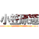 小笠原蓮 (ogasahara ren)