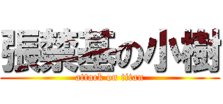 張禁基の小樹 (attack on titan)
