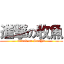 進撃の收魚 (attack on SauYu)