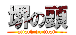 堺の頭 (attack on titan)