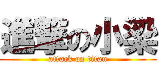 進撃の小梁 (attack on titan)