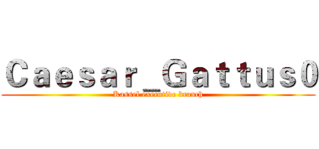 Ｃａｅｓａｒ＿Ｇａｔｔｕｓ０ (Kassel executive branch)